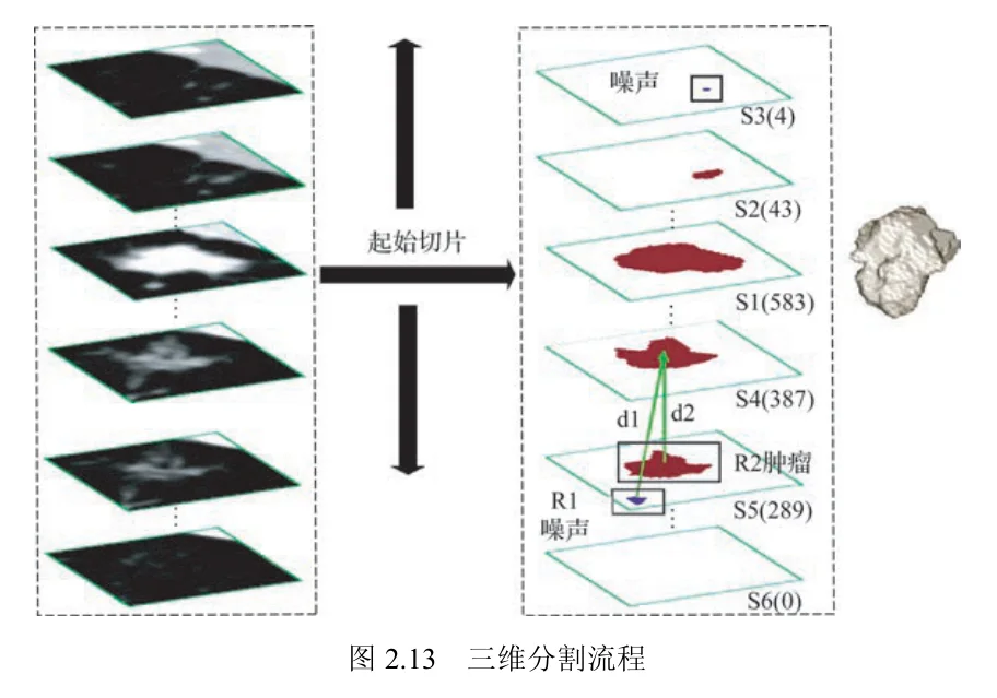 原书图2.13：三维分割流程