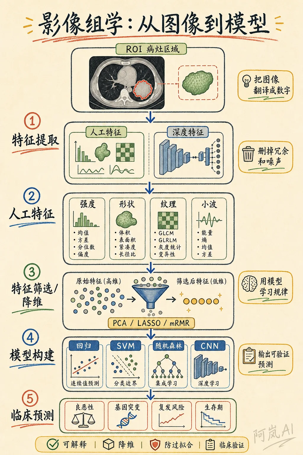 影像组学从图像到模型