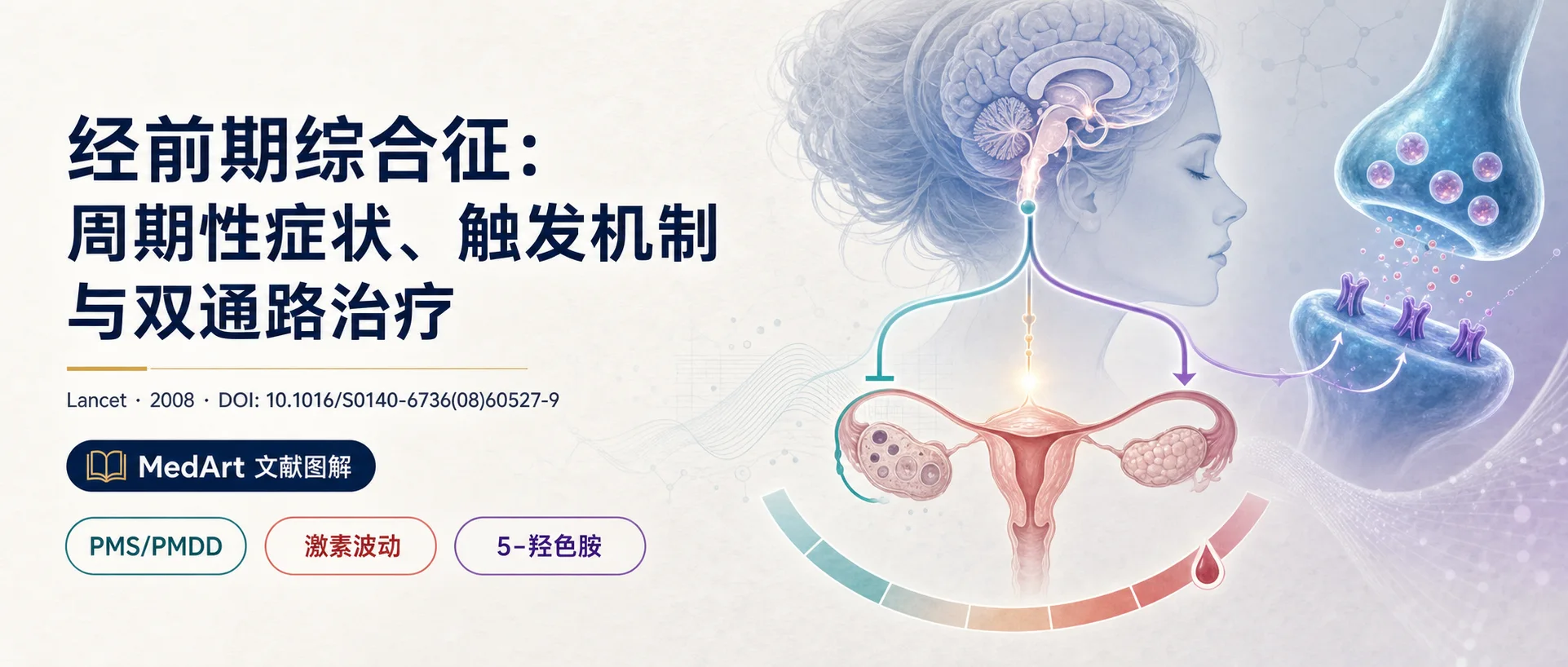 经前期综合征：从周期性诊断到双通路治疗